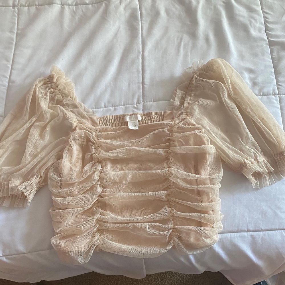 H&M Pink Mesh Puff Sleeve Ruched top